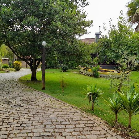 הוילה ואגוס Quinta Do Bosque מראה חיצוני תמונה